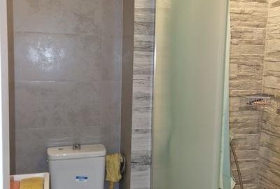 Apartament cu 3 camere decomandat, mobilat în Drumul Sării - 6