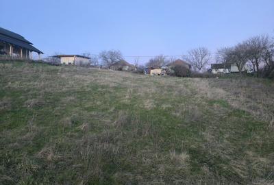 Teren de 3000 mp, în Cornești - 1