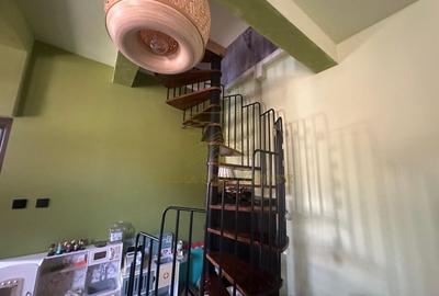 Vanzare - Proprietate cu Potential-Locuinta si Business - 27