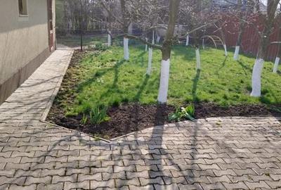 Casă cu 5 camere cu Teren 732 Mp în Central - 3