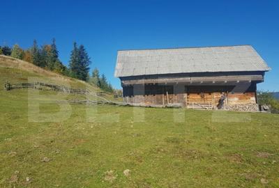 Super Oferta 5.2 euro/mp. Teren de vanzare in zona Arieseni - 9