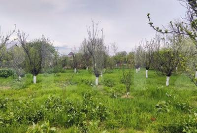 Casă cu 4 camere cu Teren 1660 Mp în Central - 3