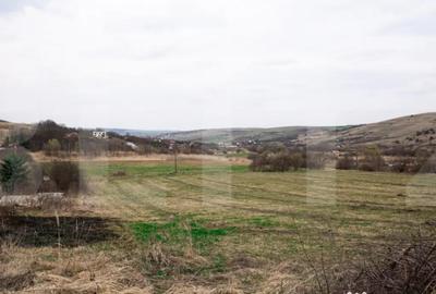 Teren în Borhanci - 17