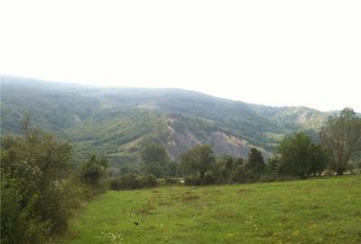 Teren de 14000 mp, în Central - 9