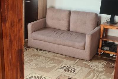 Casă cu 2 camere cu Teren 1500 Mp în Paleu - 4