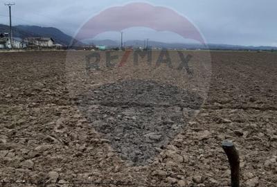 Teren agricol extravilan de 7150 mp, în Glăjărie - 5