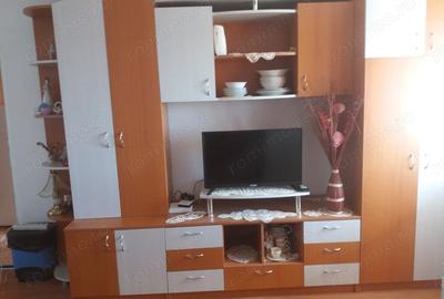 Apartament cu 2 camere în Bocșa - 5