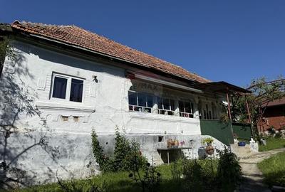 Casă individuală cu 4 camere cu Teren 3765 Mp în Mihăești - 26