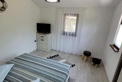 Casă cu 3 camere cu Teren 2700 Mp în Victoria - 3