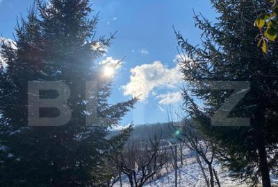 Teren intravila de vanzare, 1.100 mp, in Bistri?a, pe str - 20