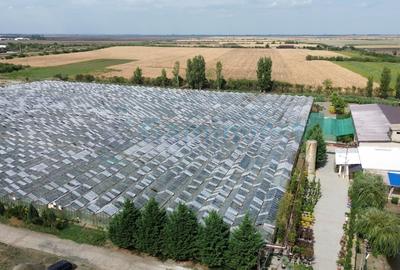 Teren agricol intravilan de 86000 mp, în Central - 2