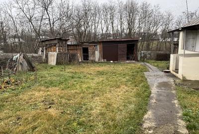 Vand casa cu gradina - 2