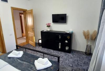 Casa  132mp utili si curte ,spre inchiriere  in zona Parcul SubArini - 7