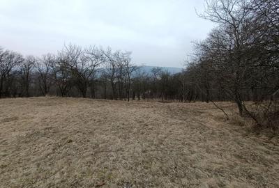 Spațiu comercial, în Popești - 3