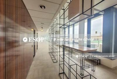 Spațiu comercial, de 3,838 mp, în Romană - 5