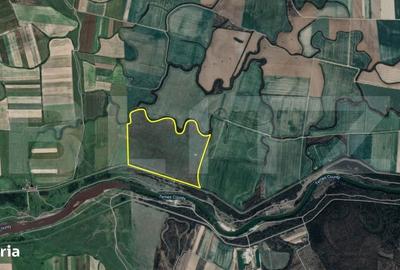 Spațiu comercial, în Bazoș - 1