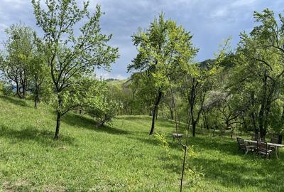 Sotrile, Valea Doftanei