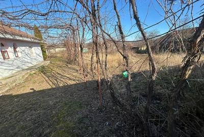 Casă cu 4 camere cu Teren 1045 Mp în Central - 5