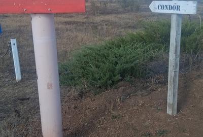 Corbeanca, Ilfov - 1