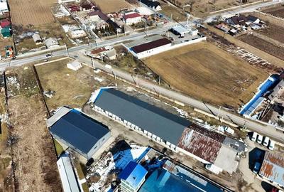 Hale industriale de inchiriat in Tg Neam? - 14