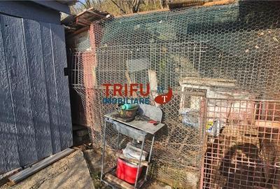 Căsuța din Barabant: O Afacere Mai Bună Decât Un Apartament? - 8