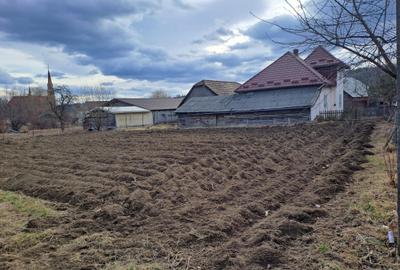 Casă cu 3 camere în Cacica - 1