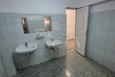 Spațiu industrial, de 650 mp, în Theodor Pallady - 8
