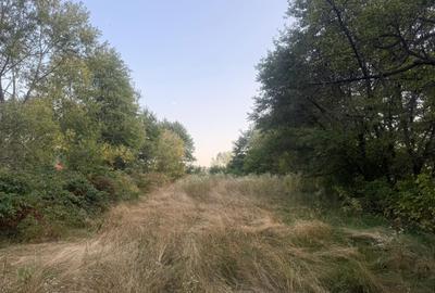 Teren de 1700 mp, în Lerești - 3