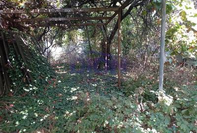 Casă cu 3 camere cu Teren 288 Mp în Eroii Revoluției - 8