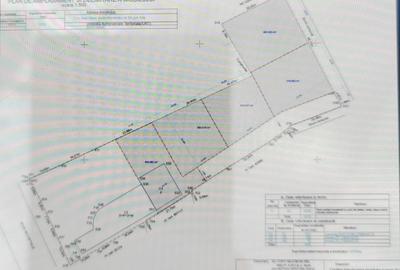 Teren Intravilan Parcelabil, Malu Mare, oportunitate de inve - 1