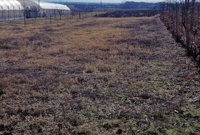 Vand casa batraneasca + teren intravilan - 9