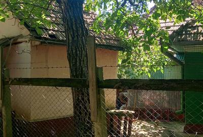 Casă cu 3 camere în Central