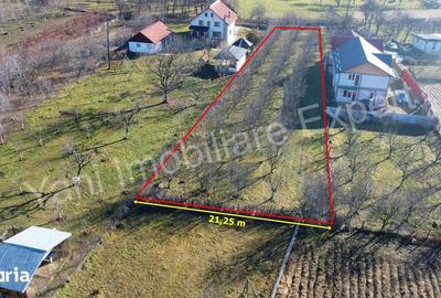 Teren de 1422 mp, în Corbeni - 6