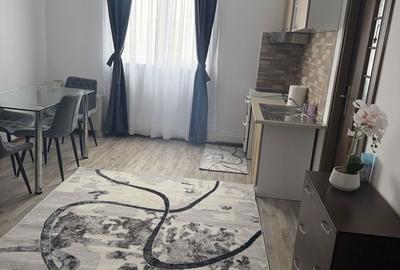 Apartament cu 2 camere în Bariera Vâlcii - 5