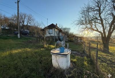 Casa cu teren, 3000mp, la 20 de minute de Cluj, Borsa - 1