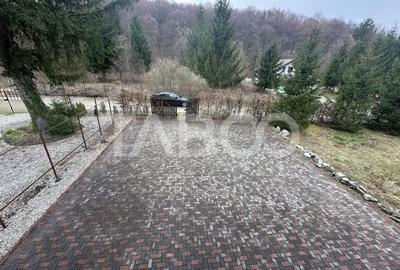Cabana cu 1524 mp de teren de vanzare pe Valea Avrigului in zona Mlaci - 13