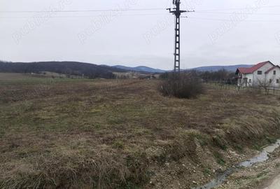 Teren de 3000 mp, în Vața de Jos - 1