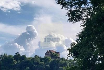 Casa individuala 5 camere 4 bai garaj pivnita si panouri solare in Cisnadioara - 9