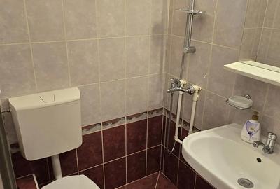 Garsonieră decomandată în Giurgiului - 3