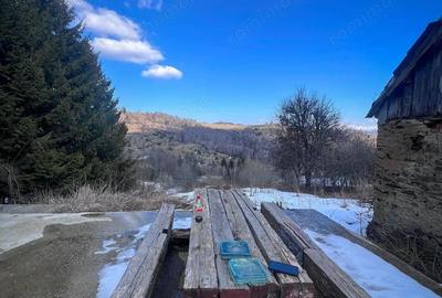 Casă cu 4 camere cu Teren 686 Mp în Gărâna - 5