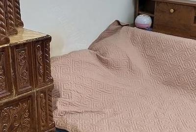 Casă cu 2 camere cu Teren 2500 Mp în Surdila-Greci - 5