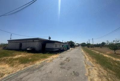 Teren de 90000 mp, în Sânandrei - 1