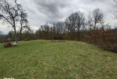 Spațiu comercial, în Central - 15