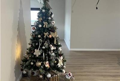 RECO CASA 3 CAMERE SANTANDREI - 12