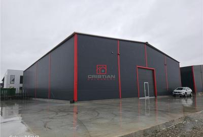 Spațiu comercial, de 600 mp, în Theodor Pallady - 10