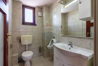 Casă individuală cu 6 camere cu Garaj în Ferentari - 18