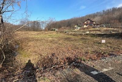 TAUTII MAGHERAUS strada 74 teren intravilan de aprox 36ari ! TAUTII MAGHERAUS strada 74 teren intravilan de aprox 36ari ! - 3