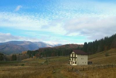Teren de 2500 mp, în Valea Doftanei - 1