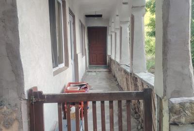 Casă cu 3 camere cu Teren 4000 Mp în Urseiu - 14