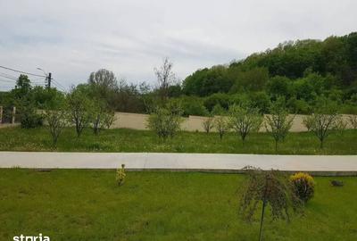 Casă cu 6 camere cu Teren 3172 Mp în Cobia - 7